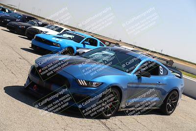 media/Sep-17-2023-Speed Ventures (Sun) [[7e780ba612]]/Green/Grid and Straight/